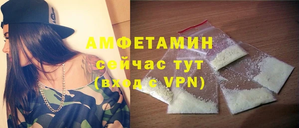 индика Белокуриха