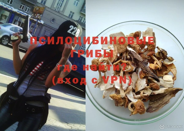 гидра Бугульма