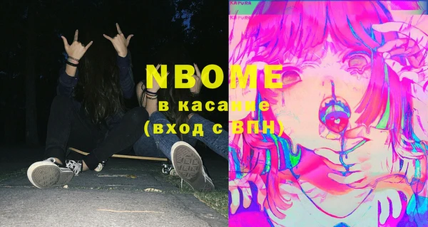 индика Белокуриха