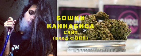 индика Белокуриха