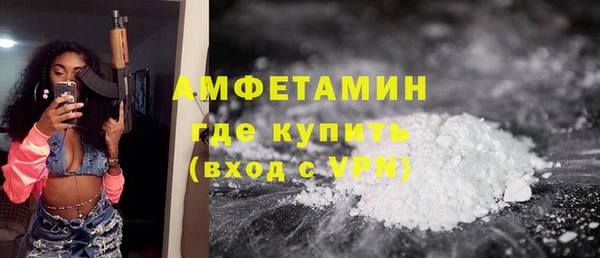 индика Белокуриха
