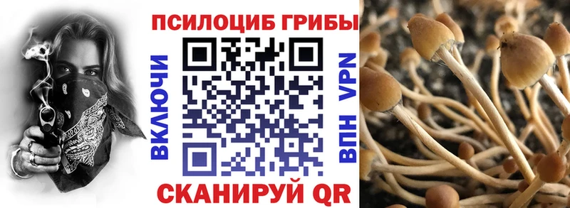 Псилоцибиновые грибы мухоморы Ульяновск