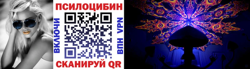 Галлюциногенные грибы Psilocybe  Ульяновск 
